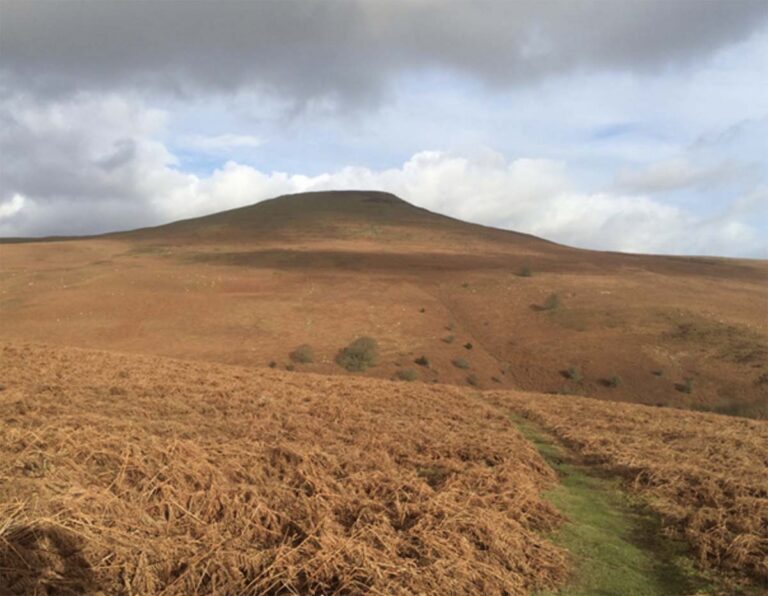 wales-fforest-venue-12