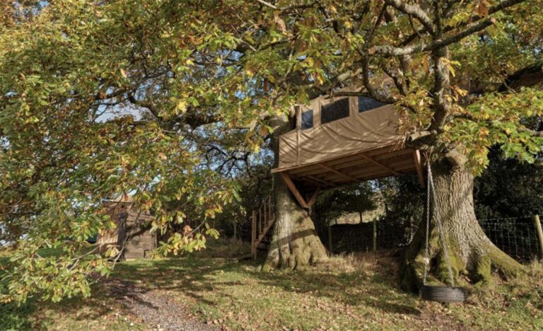 wales-fforest-venue-16